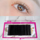 LASHPIRE® ECO COLLECTION 0.15mm MIX LENGTH Classic Lash Tray